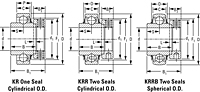 Mounted Bearings insert eccentric KR, KRR, KRRB non G